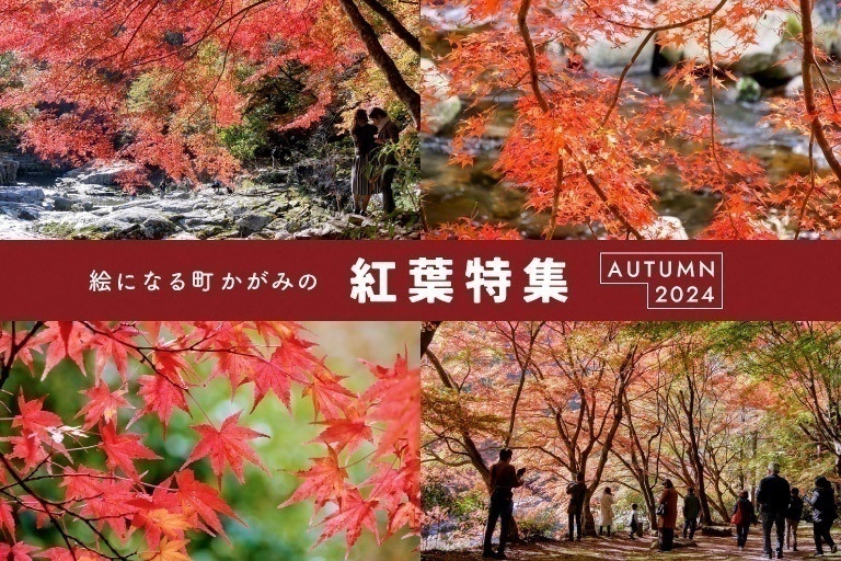 紅葉特集2024 ～絵になる町かがみの紅葉見頃情報～